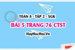 Bài 5 trang 76 Toán 8 Tập 2 Chân trời sáng tạo
